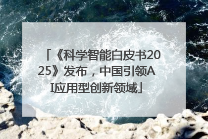 《科学智能白皮书2025》发布，中国引领AI应用型创新领域