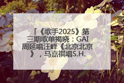 《歌手2025》第三期歌单揭晓：GAI周延唱汪峰《北京北京》，马嘉祺唱S.H.E《你曾是少年》