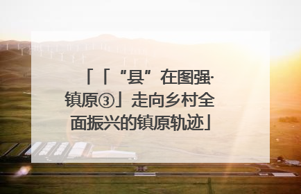 「“县”在图强·镇原③」走向乡村全面振兴的镇原轨迹