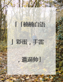 「楠楠自语」彩蛋，手雷，邋遢帅