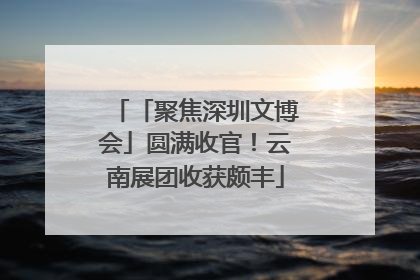 「聚焦深圳文博会」圆满收官！云南展团收获颇丰