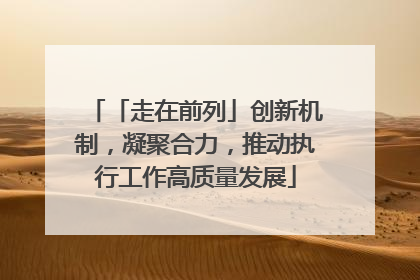 「走在前列」创新机制，凝聚合力，推动执行工作高质量发展