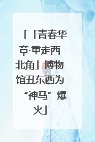 「青春华章·重走西北角」博物馆丑东西为“神马”爆火