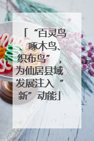 “百灵鸟、啄木鸟、织布鸟”，为仙居县域发展注入“新”动能