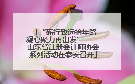 “砺行致远拾年路 凝心聚力再出发”——山东省注册会计师协会系列活动在泰安召开