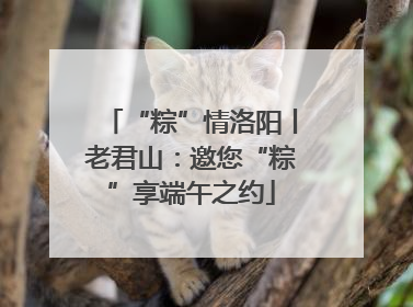 “粽”情洛阳丨老君山：邀您“粽”享端午之约