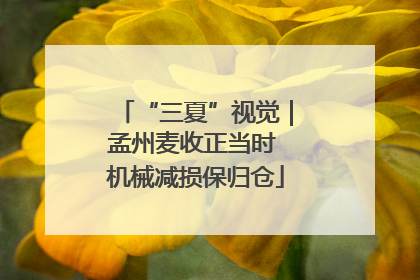 “三夏”视觉｜孟州麦收正当时 机械减损保归仓