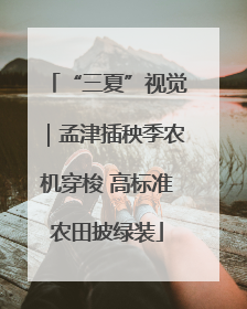 “三夏”视觉｜孟津插秧季农机穿梭 高标准农田披绿装