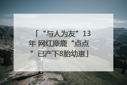 “与人为友”13年 网红麋鹿“点点”已产下8胎幼崽