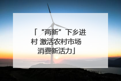 “两新”下乡进村 激活农村市场消费新活力