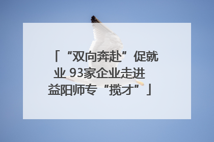“双向奔赴”促就业 93家企业走进益阳师专“揽才”