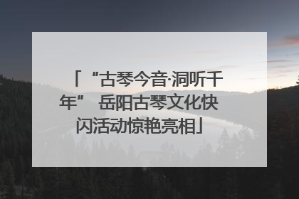 “古琴今音·洞听千年” 岳阳古琴文化快闪活动惊艳亮相