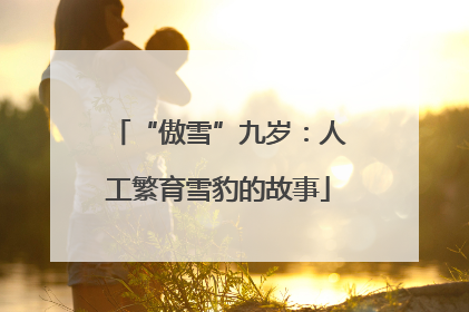 “傲雪”九岁：人工繁育雪豹的故事