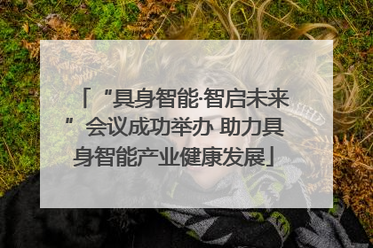 “具身智能·智启未来”会议成功举办 助力具身智能产业健康发展