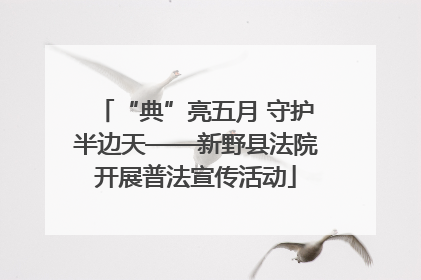 “典”亮五月 守护半边天——新野县法院开展普法宣传活动