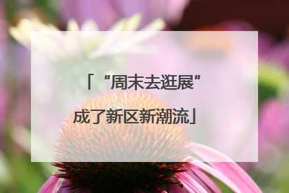 “周末去逛展”成了新区新潮流