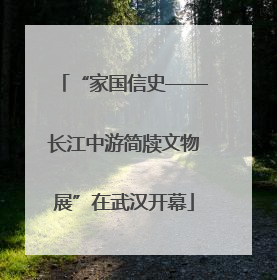 “家国信史——长江中游简牍文物展”在武汉开幕