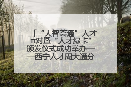 “大智荟通”人才π对暨“人才绿卡”颁发仪式成功举办——西宁人才周大通分会场亮点纷呈