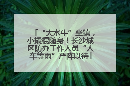 “大水牛”坐镇，小撬棍随身！长沙城区防办工作人员“人车等雨”严阵以待