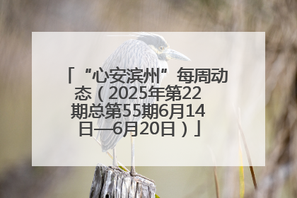 “心安滨州”每周动态（2025年第22期总第55期6月14日—6月20日）