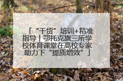 “干货”培训+精准指导丨鄂托克旗三所学校体育课堂在高校专家助力下“提质增效”
