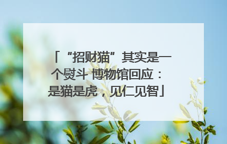 “招财猫”其实是一个熨斗 博物馆回应：是猫是虎，见仁见智