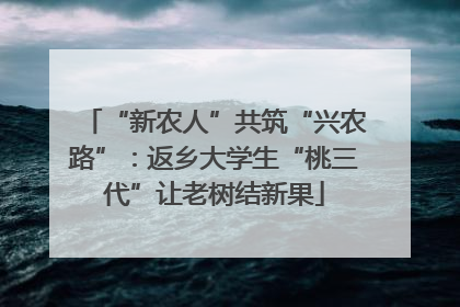 “新农人”共筑“兴农路”：返乡大学生“桃三代”让老树结新果