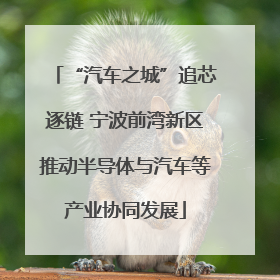 “汽车之城”追芯逐链 宁波前湾新区推动半导体与汽车等产业协同发展