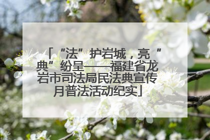 “法”护岩城，亮“典”纷呈——福建省龙岩市司法局民法典宣传月普法活动纪实