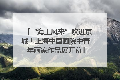 “海上风来”吹进京城！上海中国画院中青年画家作品展开幕