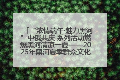 “浓情端午·魅力黑河”中俄共庆 系列活动燃爆黑河清凉一夏——2025年黑河夏季群众文化活动启幕 多元文化赋能边境文旅新高地