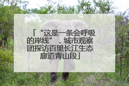 “这是一条会呼吸的岸线”，城市观察团探访百里长江生态廊道青山段