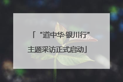 “道中华·银川行”主题采访正式启动