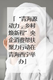 “青海源动力，乡村焕新程”央企消费帮扶聚力行动在青海西宁举办