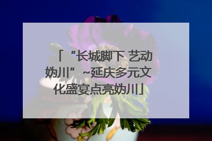“长城脚下 艺动妫川”~延庆多元文化盛宴点亮妫川