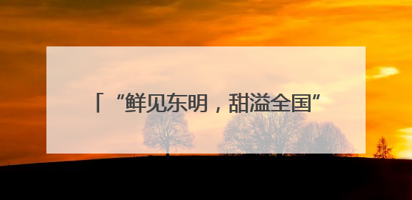 “鲜见东明，甜溢全国” 2025中国·东明第二十届西瓜节即将盛大开幕