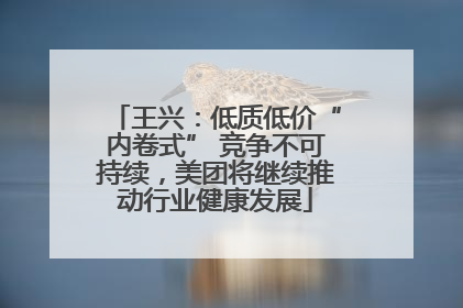 王兴：低质低价“内卷式” 竞争不可持续，美团将继续推动行业健康发展