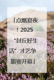 点燃夏夜！2025“封丘好生活”才艺争霸赛开幕