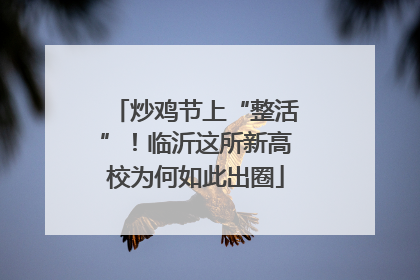 炒鸡节上“整活”！临沂这所新高校为何如此出圈