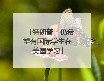 特朗普：仍希望有国际学生在美国学习