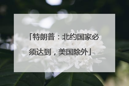 特朗普：北约国家必须达到，美国除外