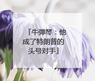 牛弹琴：他成了特朗普的头号对手