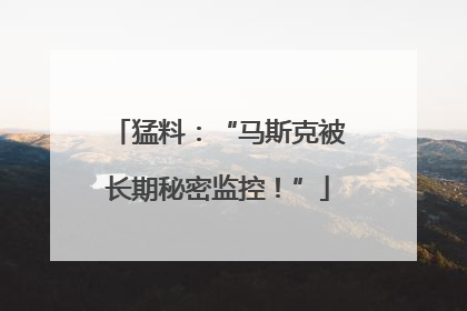猛料：“马斯克被长期秘密监控！”
