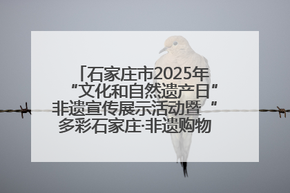石家庄市2025年“文化和自然遗产日”非遗宣传展示活动暨“多彩石家庄·非遗购物节”倒计时1天