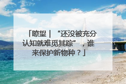 瞭望｜“还没被充分认知就难觅其踪”，谁来保护新物种？