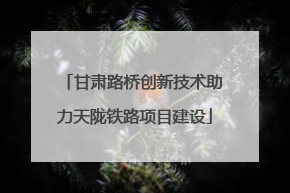 甘肃路桥创新技术助力天陇铁路项目建设