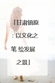甘肃镇原：以文化之笔 绘发展之景