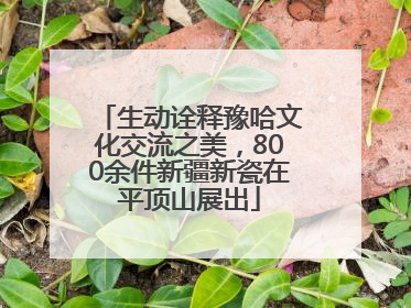 生动诠释豫哈文化交流之美，800余件新疆新瓷在平顶山展出
