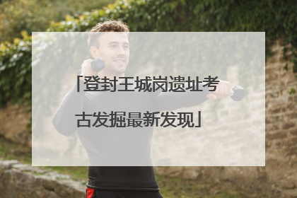 登封王城岗遗址考古发掘最新发现