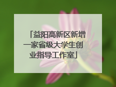 益阳高新区新增一家省级大学生创业指导工作室